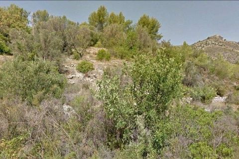Tomt i Murla, Alicante, Murla - € 200 000 | Ref: 384-16pMU - foto 5