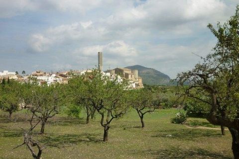 Tomt i Murla, Alicante, Murla - € 200 000 | Ref: 384-16pMU - foto 15