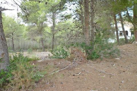 Terra a Moraira, Alicante, Moraira - € 280.000 | Ref: 478-16pM - foto 3