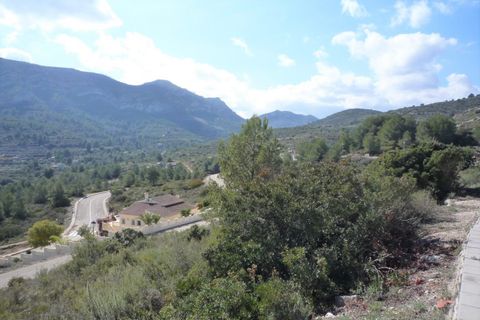 Terra a Pedreguer, Alicante, Pedreguer - € 150.000 | Ref: 683pPE - foto 2