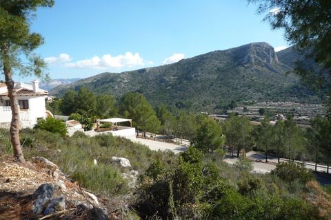 Terra a Pedreguer, Alicante, Pedreguer - € 150.000 | Ref: 683pPE - foto 3