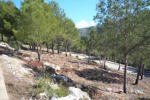 Terra a Pedreguer, Alicante, Pedreguer - € 150.000 | Ref: 683pPE - foto 4
