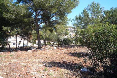 Terra a Pedreguer, Alicante, Pedreguer - € 150.000 | Ref: 683pPE - foto 5