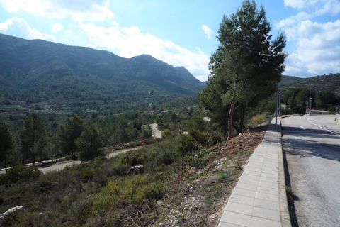 Terra a Pedreguer, Alicante, Pedreguer - € 150.000 | Ref: 683pPE - foto 6