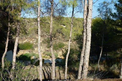 Terra a Benissa, Alicante, Benissa - € 215.000 | Ref: 829pB - foto 7