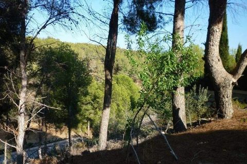 Terra a Benissa, Alicante, Benissa - € 215.000 | Ref: 829pB - foto 8