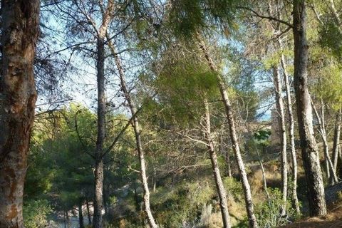 Terra a Benissa, Alicante, Benissa - € 215.000 | Ref: 829pB - foto 9