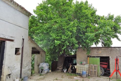 Villa a Senigallia, Ancona, Senigallia - € 39.000 | Ref: RU027 - foto 3
