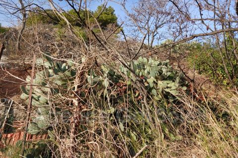 Villa a Montady, Herault, Montady - € 116.000 | Ref: 847V1204M - foto 9