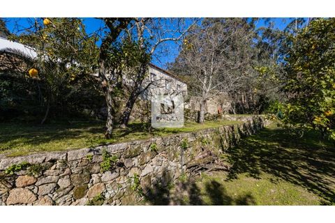 Farm i Ponte de Lima, Viana do Castelo, Ponte de Lima - € 980.000 | Ref: RP6169RZ - foto 32