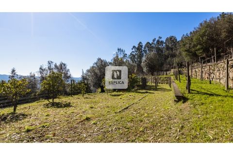 Farm i Ponte de Lima, Viana do Castelo, Ponte de Lima - € 980.000 | Ref: RP6169RZ - foto 37