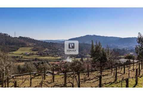 Farm i Ponte de Lima, Viana do Castelo, Ponte de Lima - € 980.000 | Ref: RP6169RZ - foto 41