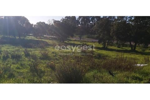 Helårsgrund i Entroncamento, Santarem, Entroncamento - € 33.000 | Ref: LE94500LE - foto 8