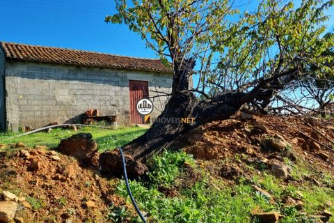 Helårsgrund i Fundao, Castelo Branco, Fundao - € 240.000 | Ref: 2628 - foto 6