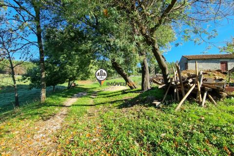 Helårsgrund i Fundao, Castelo Branco, Fundao - € 240.000 | Ref: 2628 - foto 8