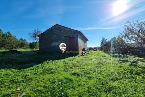 Helårsgrund i Fundao, Castelo Branco, Fundao - € 240.000 | Ref: 2628 - foto 9