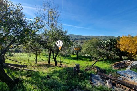 Helårsgrund i Fundao, Castelo Branco, Fundao - € 240.000 | Ref: 2628 - foto 14