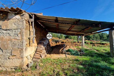 Helårsgrund i Fundao, Castelo Branco, Fundao - € 240.000 | Ref: 2628 - foto 17