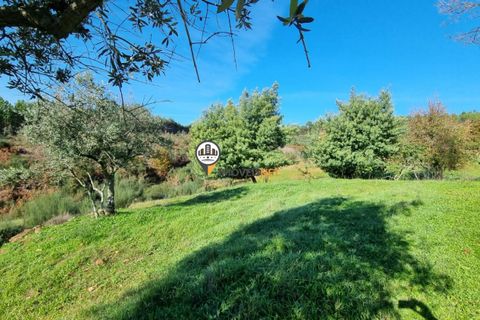 Helårsgrund i Fundao, Castelo Branco, Fundao - € 240.000 | Ref: 2628 - foto 20