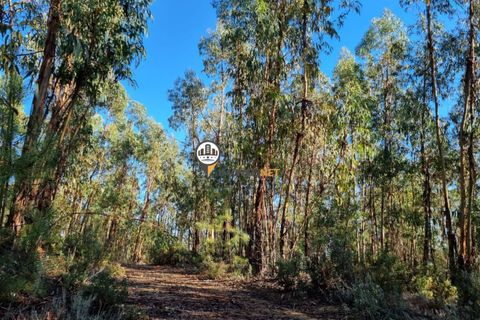 Helårsgrund i Fundao, Castelo Branco, Fundao - € 240.000 | Ref: 2628 - foto 22