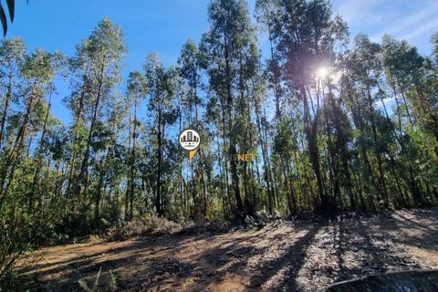 Helårsgrund i Fundao, Castelo Branco, Fundao - € 240.000 | Ref: 2628 - foto 23