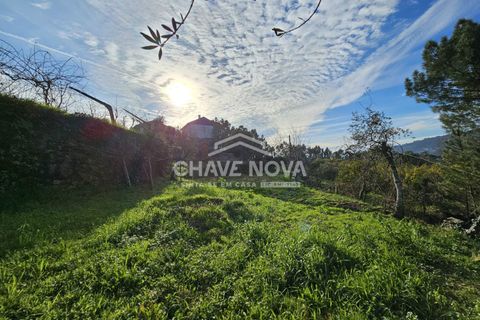 Villa i Cinfaes, Viseu, Cinfaes - € 130.000 | Ref: GN/01844 - foto 4