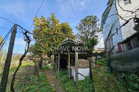 Villa i Cinfaes, Viseu, Cinfaes - € 130.000 | Ref: GN/01844 - foto 5