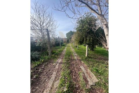 Farm i Ponte de Lima, Viana do Castelo, Ponte de Lima - € 950.000 | Ref: V020 - foto 9