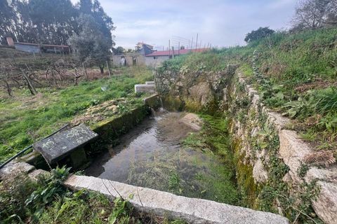 Farm i Ponte de Lima, Viana do Castelo, Ponte de Lima - € 950.000 | Ref: V020 - foto 16