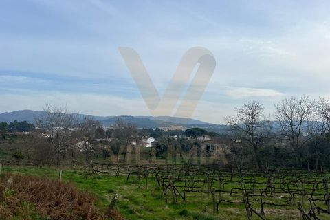 Farm i Ponte de Lima, Viana do Castelo, Ponte de Lima - € 950.000 | Ref: V020 - foto 19
