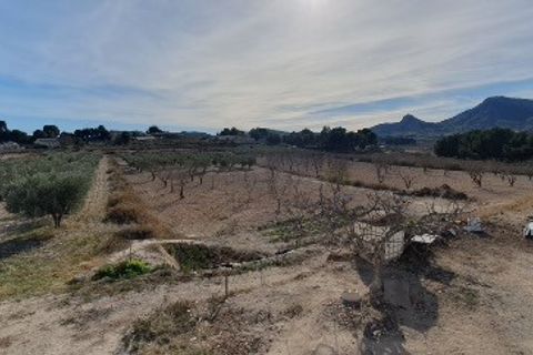 Finca i Sax, Alicante, Sax - € 300.000 | Ref: Paco Finca - foto 25