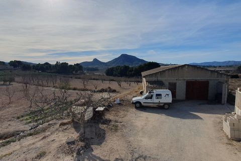 Finca i Sax, Alicante, Sax - € 300.000 | Ref: Paco Finca - foto 31