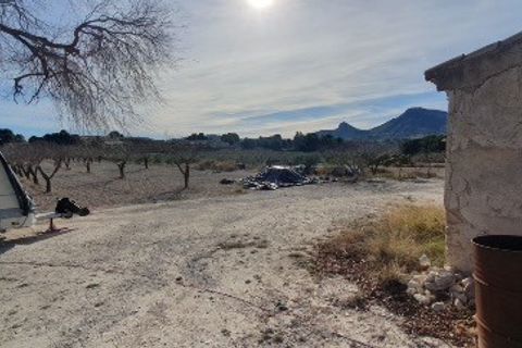 Finca i Sax, Alicante, Sax - € 300.000 | Ref: Paco Finca - foto 19