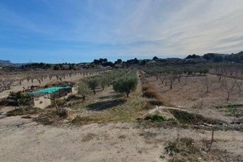 Finca i Sax, Alicante, Sax - € 300.000 | Ref: Paco Finca - foto 16