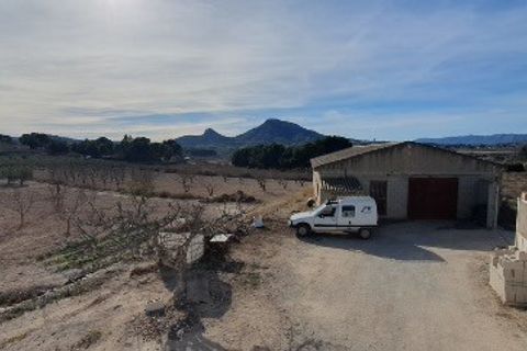 Finca i Sax, Alicante, Sax - € 300.000 | Ref: Paco Finca - foto 15