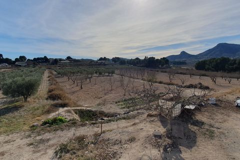 Finca i Sax, Alicante, Sax - € 300.000 | Ref: Paco Finca - foto 33