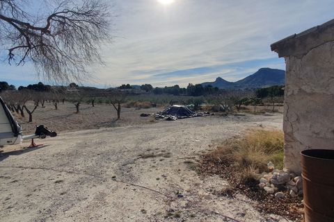 Finca i Sax, Alicante, Sax - € 300.000 | Ref: Paco Finca - foto 42