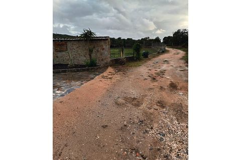 Farm i Elvas, Portalegre, Elvas - € 550.000 | Ref: RH-11624-property - foto 27
