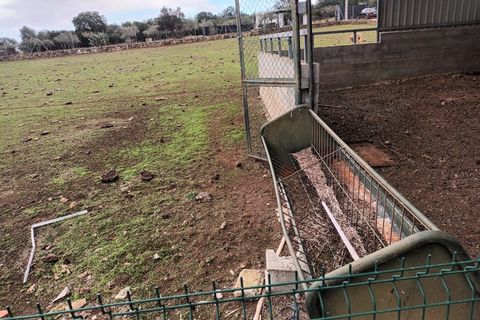 Farm i Elvas, Portalegre, Elvas - € 550.000 | Ref: RH-11624-property - foto 35