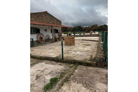 Farm i Elvas, Portalegre, Elvas - € 550.000 | Ref: RH-11624-property - foto 41