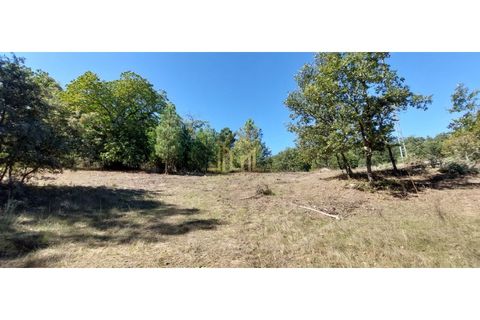 Landejendom i Guarda, Guarda, Guarda - € 136.500 | Ref: CAS_18 - foto 4