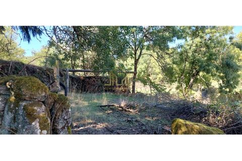 Landejendom i Guarda, Guarda, Guarda - € 136.500 | Ref: CAS_18 - foto 8