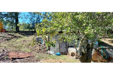 Landejendom i Guarda, Guarda, Guarda - € 136.500 | Ref: CAS_18 - foto 14