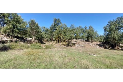 Landejendom i Guarda, Guarda, Guarda - € 136.500 | Ref: CAS_18 - foto 15