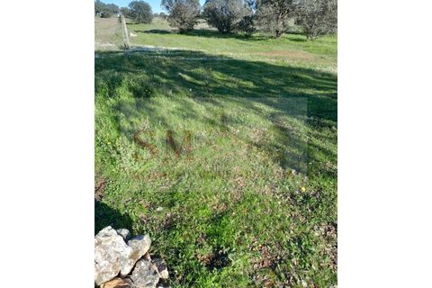 Helårsgrund i Alandroal, Evora, Alandroal - € 30.000 | Ref: SÒL_247 - foto 3