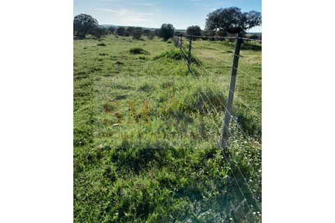 Helårsgrund i Alandroal, Evora, Alandroal - € 30.000 | Ref: SÒL_247 - foto 4