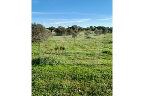 Helårsgrund i Alandroal, Evora, Alandroal - € 30.000 | Ref: SÒL_247 - foto 5