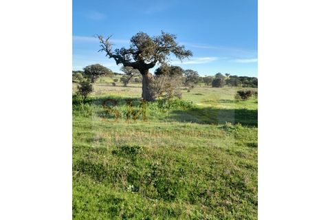 Helårsgrund i Alandroal, Evora, Alandroal - € 30.000 | Ref: SÒL_247 - foto 7