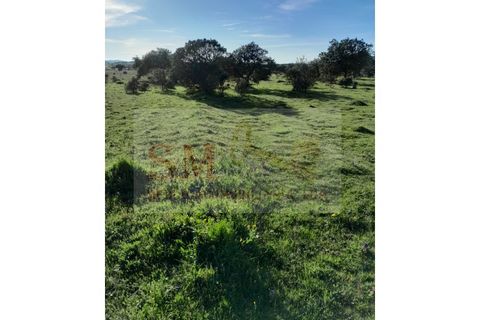 Helårsgrund i Alandroal, Evora, Alandroal - € 30.000 | Ref: SÒL_247 - foto 8