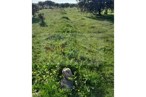 Helårsgrund i Alandroal, Evora, Alandroal - € 30.000 | Ref: SÒL_247 - foto 10